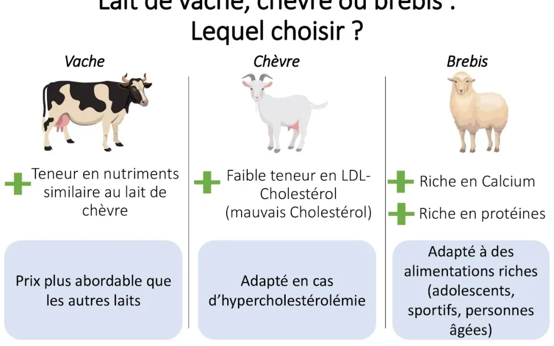 Quel lait choisir ?