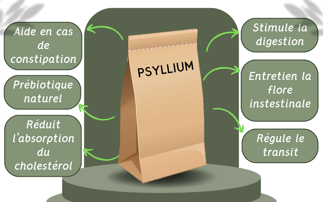 Les bienfaits du Psyllium